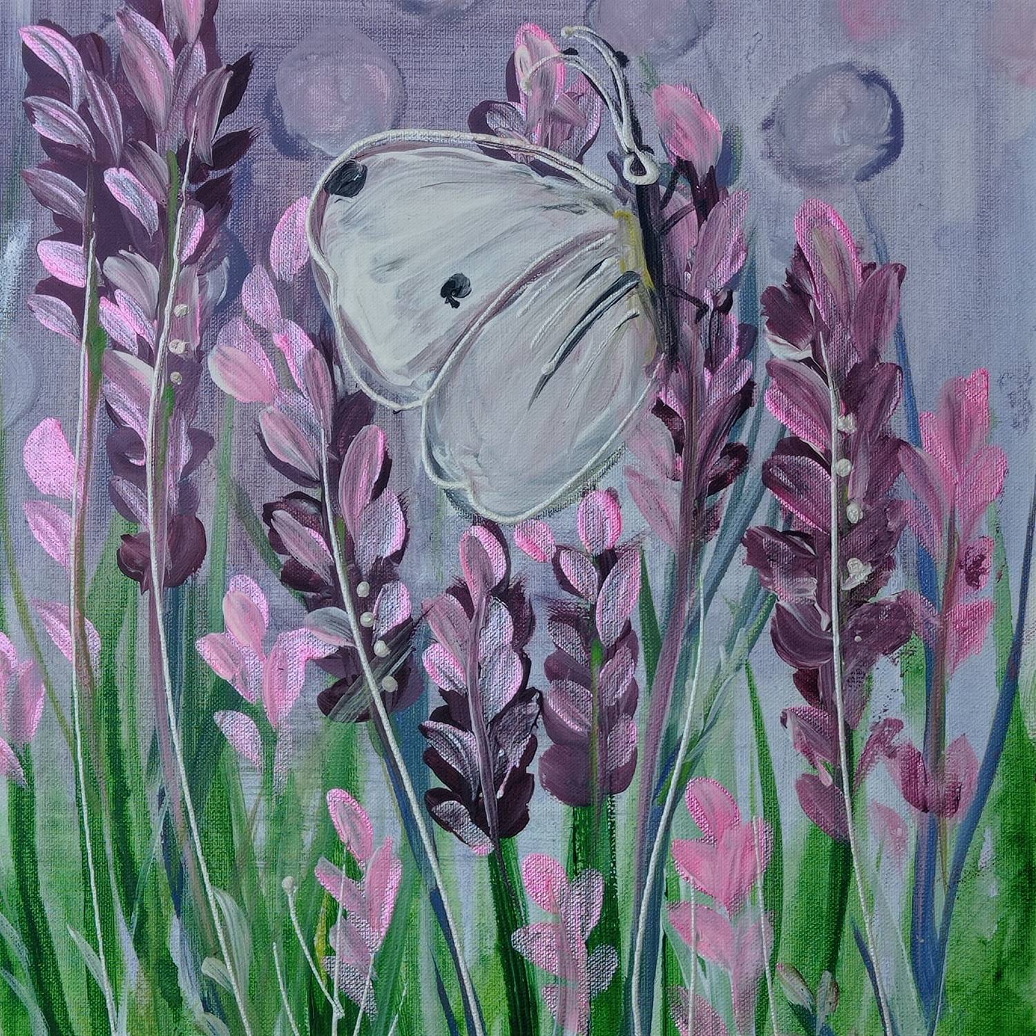 Butterfly on a lupine 