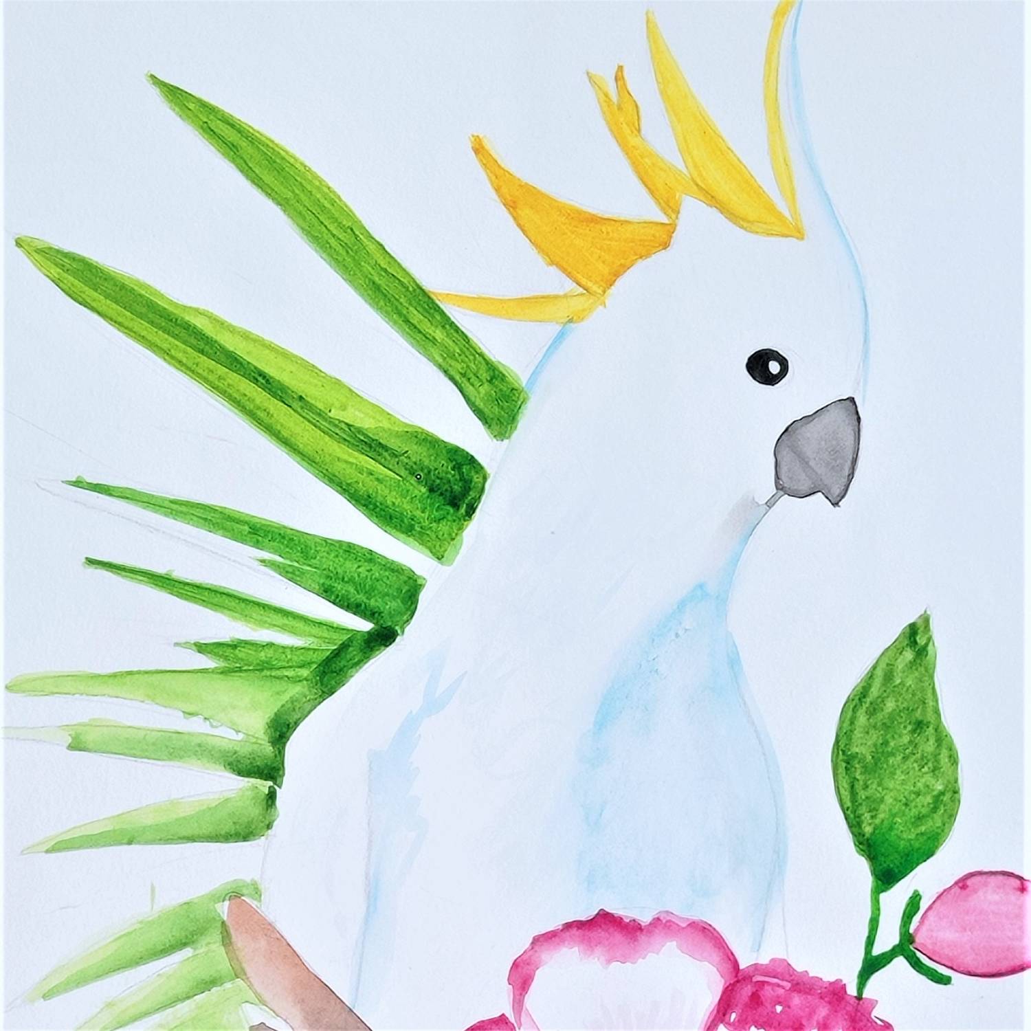 Snow-white cockatoo