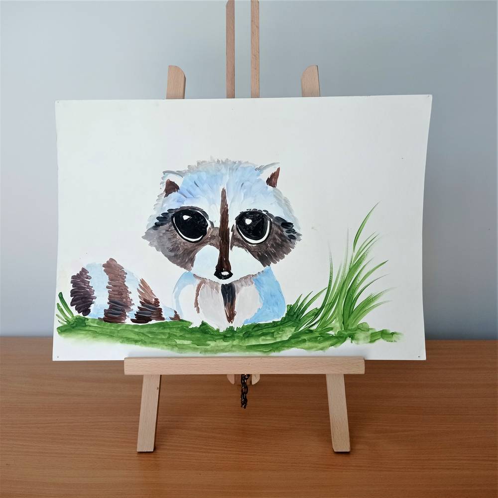 Little Raccoon