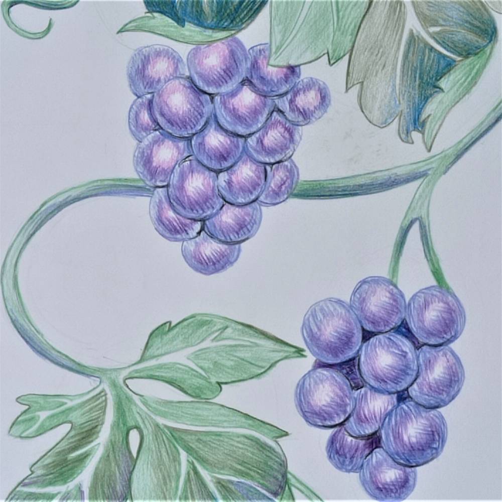 Grape