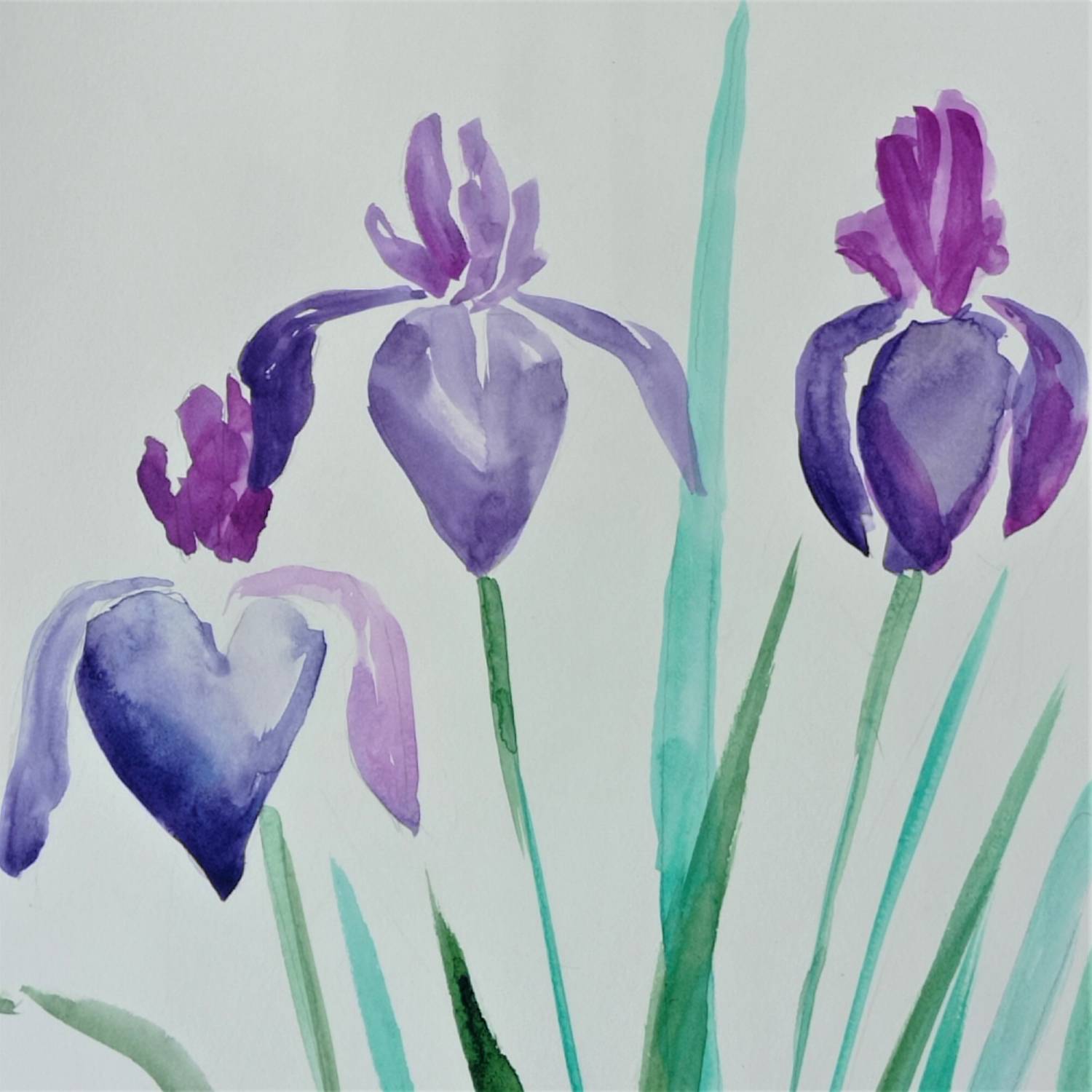 Irises