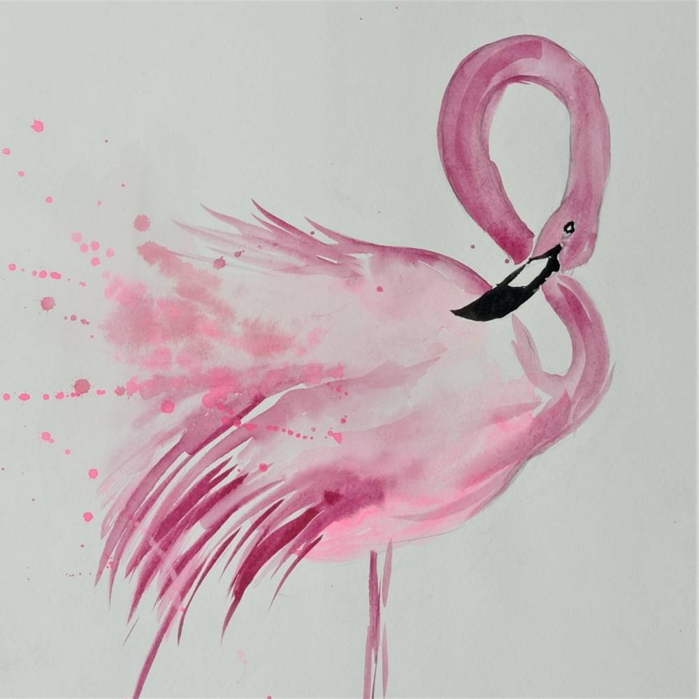 Flamingo