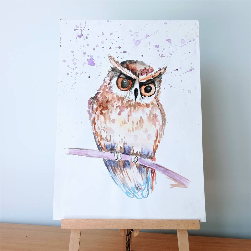 Owl