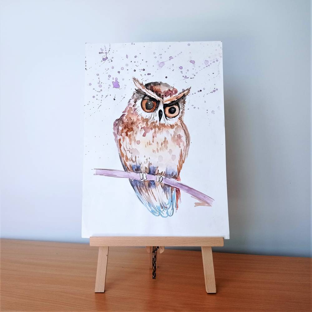 Owl