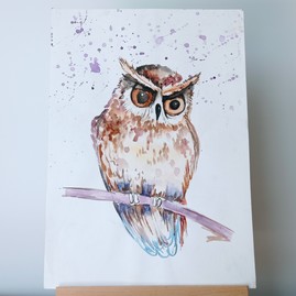 Owl