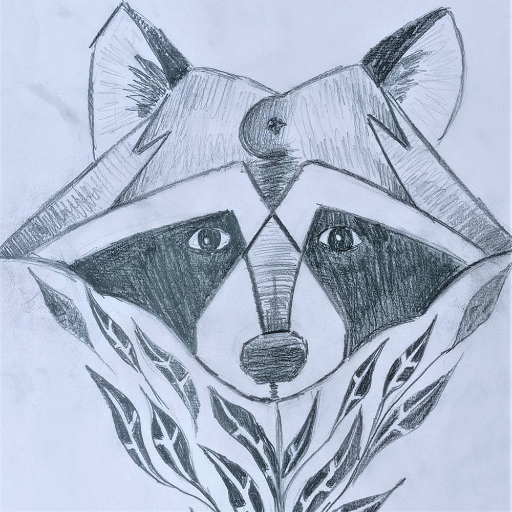 Raccoon