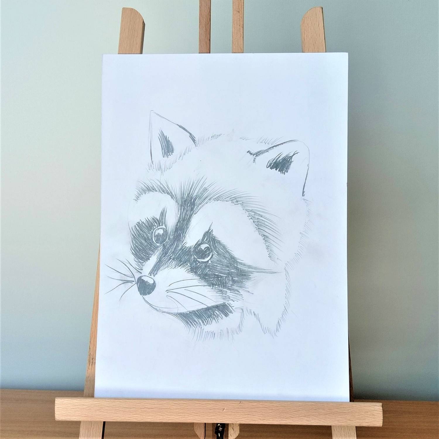 Raccoon portrait