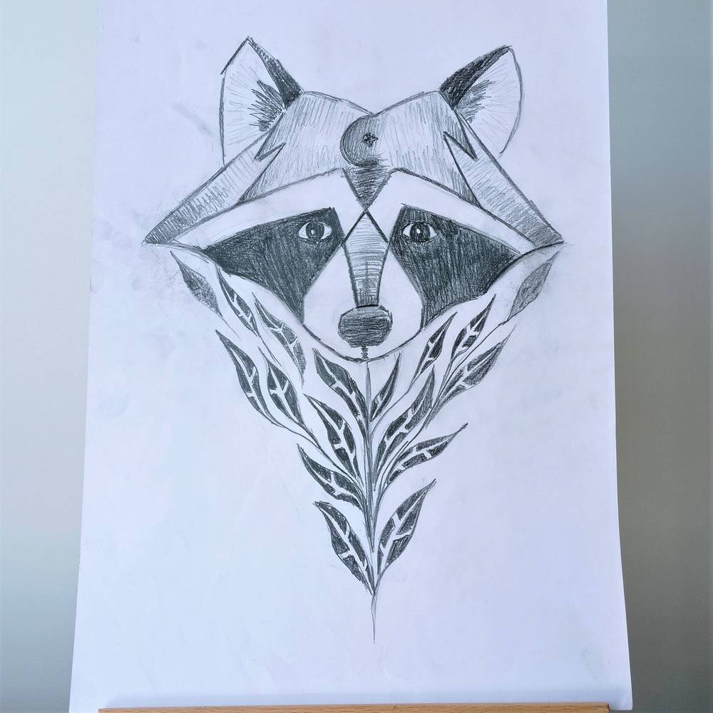 Raccoon