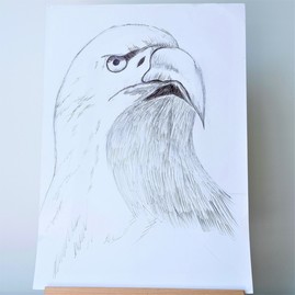 Eagle