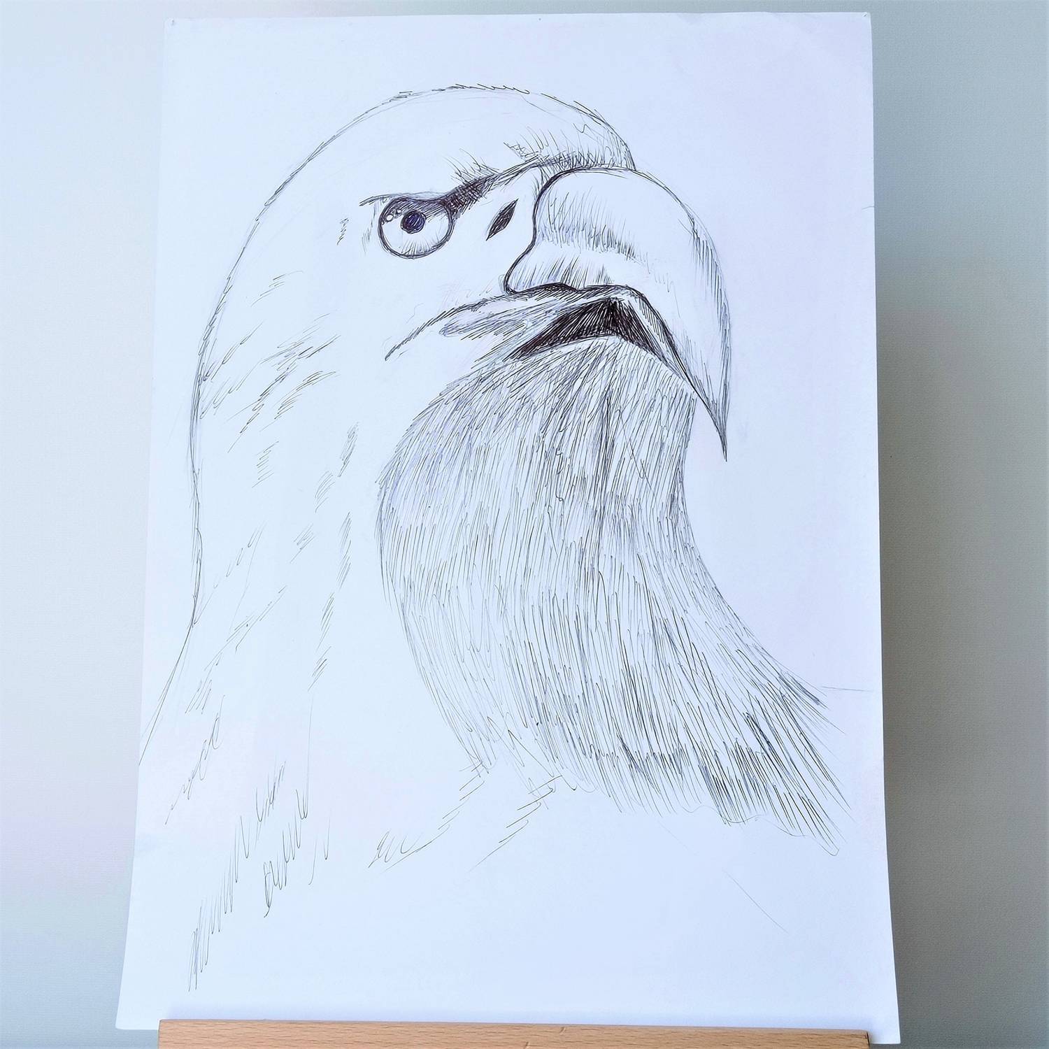 Eagle